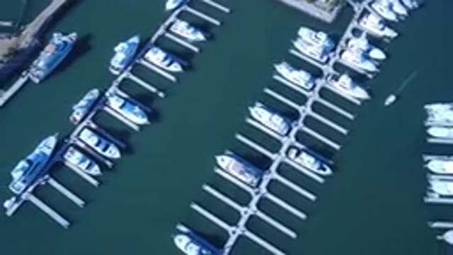 PLAYITA BCS MEXICO-2017: Birds Like Boats And Cruisers Stopped Row By Row In An