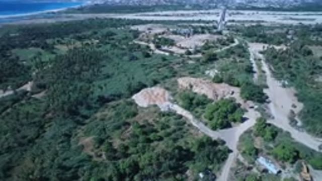 SAN JOSE DEL CABO MEXICO-2017: Thick Lush Green Forest Cover Beside Lake