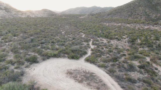 CABO PULMO BCS MEXICO-2023: Dirt Road in Desert with Foreground Elements Appearing