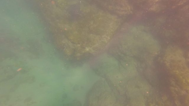 SAN JOSE DEL CABO BCS MEXICO-2023: Underwater Rocky Seabed with Clear Turquoise Water