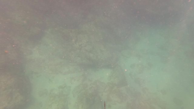 SAN JOSE DEL CABO BCS MEXICO-2023: Underwater Rocky Seabed with Marine Growth
