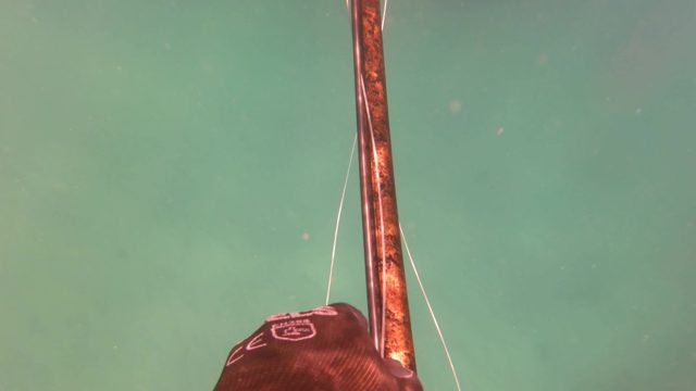 SAN JOSE DEL CABO BCS MEXICO-2023: Fishing Rod Underwater with Line in Motion
