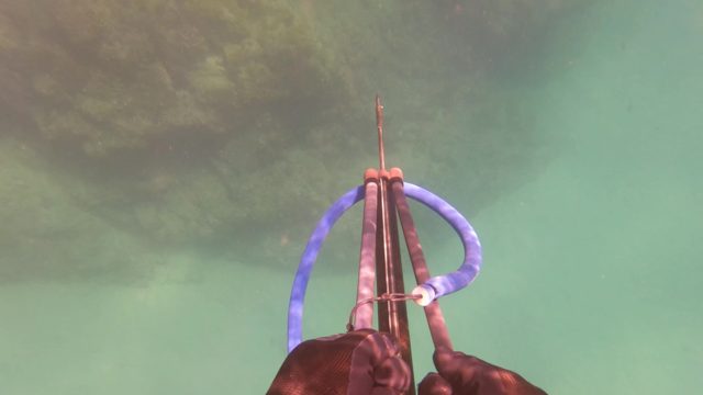 SAN JOSE DEL CABO BCS MEXICO-2023: Spearfishing Underwater with a Speargun
