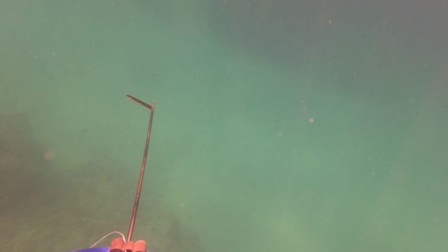 SAN JOSE DEL CABO BCS MEXICO-2023: Underwater Fishing Rod and Blue Float in Motion