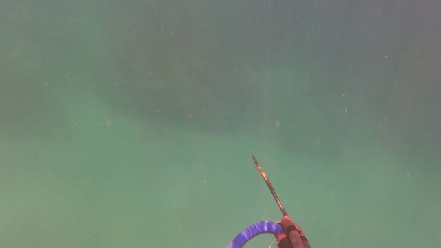 SAN JOSE DEL CABO BCS MEXICO-2023: Underwater Speargun Firing Sequence
