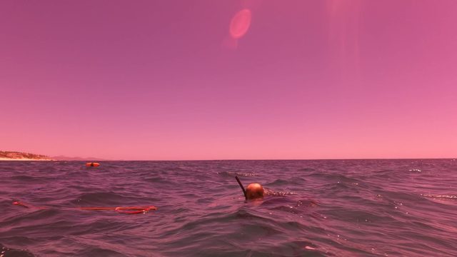 SAN JOSE DEL CABO BCS MEXICO-2023: Snorkeler Swimming in Ocean with Pink Sky