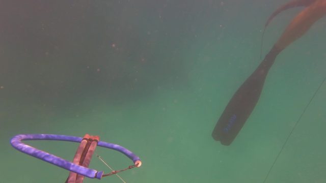 SAN JOSE DEL CABO BCS MEXICO-2023: Swimmer in Ocean with Underwater and Surface Views