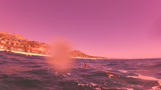 SAN JOSE DEL CABO BCS MEXICO-2023: Beach to Underwater View with Fish and Fishing Gear