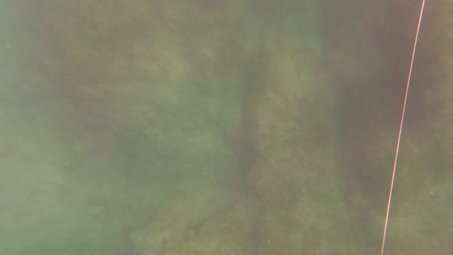 SAN JOSE DEL CABO BCS MEXICO-2023: Underwater Rock Formations with Floating Rope
