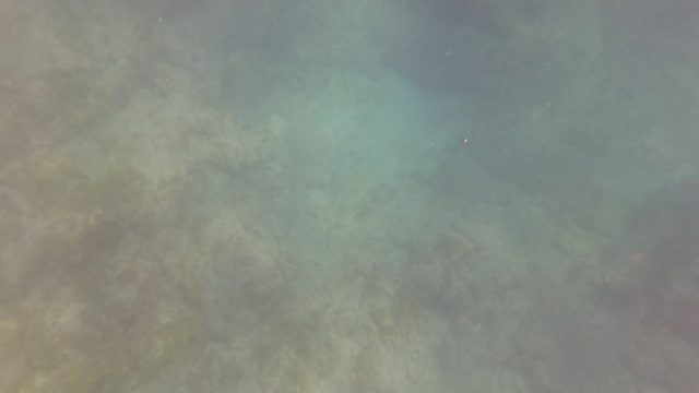 SAN JOSE DEL CABO BCS MEXICO-2023: Diver's Hand Exploring Rocky Ocean Floor