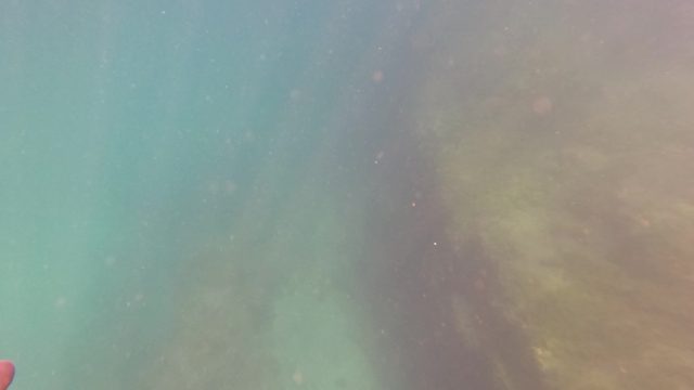 SAN JOSE DEL CABO BCS MEXICO-2023: Underwater Seabed with Marine Vegetation and Diving Equipment