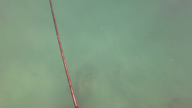 SAN JOSE DEL CABO BCS MEXICO-2023: Hand Grasping a Spearfishing Pole Underwater