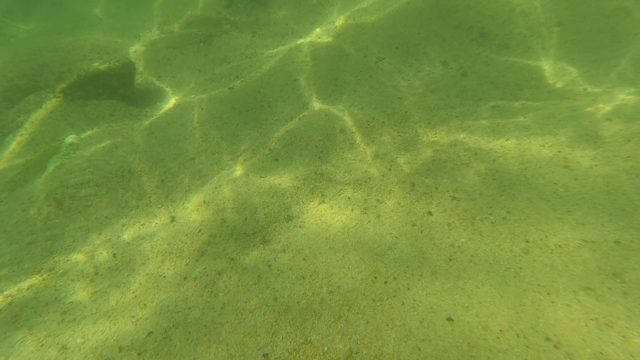 SAN JOSE DEL CABO BCS MEXICO-2023: Underwater Seabed Transition From Sand to Rocks