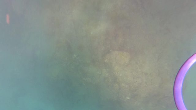 SAN JOSE DEL CABO BCS MEXICO-2023: Underwater Seabed and Boat-Related Elements