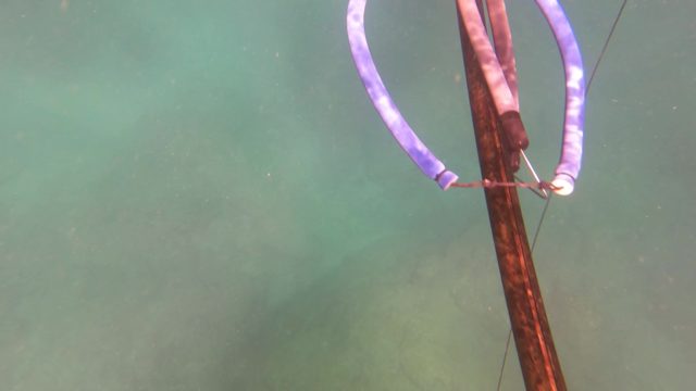 SAN JOSE DEL CABO BCS MEXICO-2023: Spearfishing in Shallow Clear Water