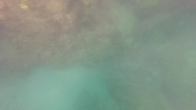 SAN JOSE DEL CABO BCS MEXICO-2023: Underwater Seabed Transitioning to Dock Structure