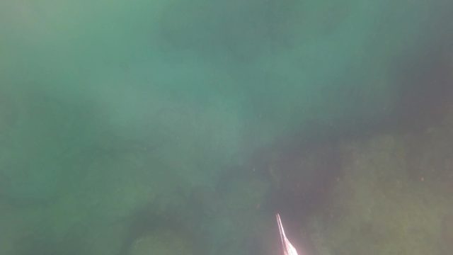 SAN JOSE DEL CABO BCS MEXICO-2023: Gloved Hand and Fish in Clear Underwater Rock Pool
