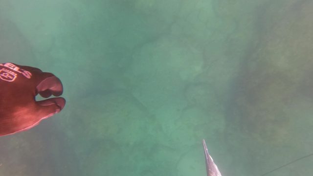 SAN JOSE DEL CABO BCS MEXICO-2023: Diver's Gloved Hand and Tool near Underwater Rocks