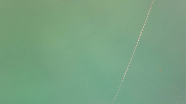 SAN JOSE DEL CABO BCS MEXICO-2023: Fishing Line Catching a Billfish Underwater