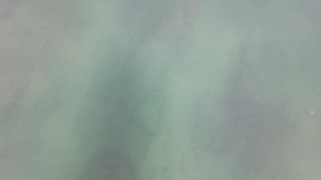 SAN JOSE DEL CABO BCS MEXICO-2023: Hand Briefly Visible in Murky Underwater Scene