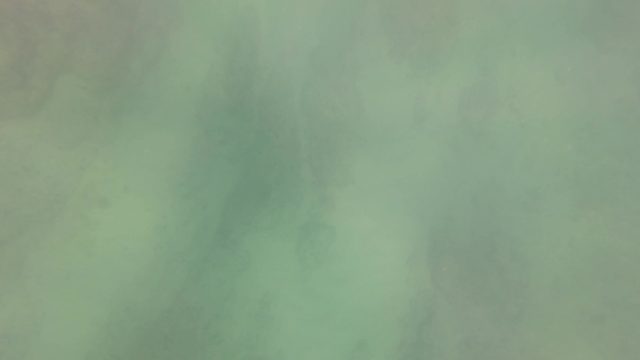 SAN JOSE DEL CABO BCS MEXICO-2023: Swimmer Surfacing From Underwater Ocean Environment