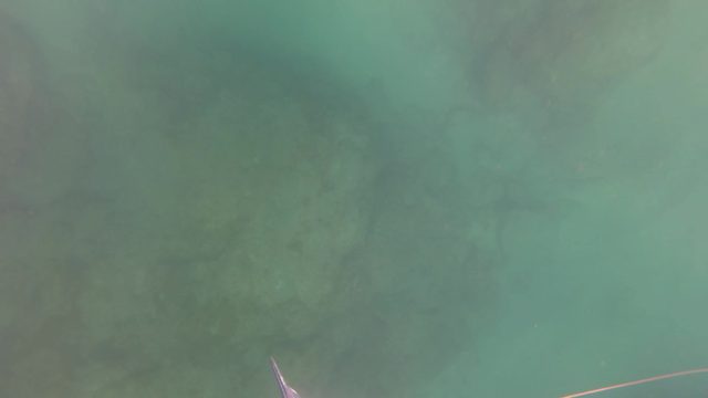 SAN JOSE DEL CABO BCS MEXICO-2023: Fishing Line in Clear Turquoise Water with Seabed