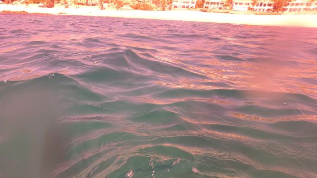 SAN JOSE DEL CABO BCS MEXICO-2023: Diving From Ocean Surface to Underwater Seabed