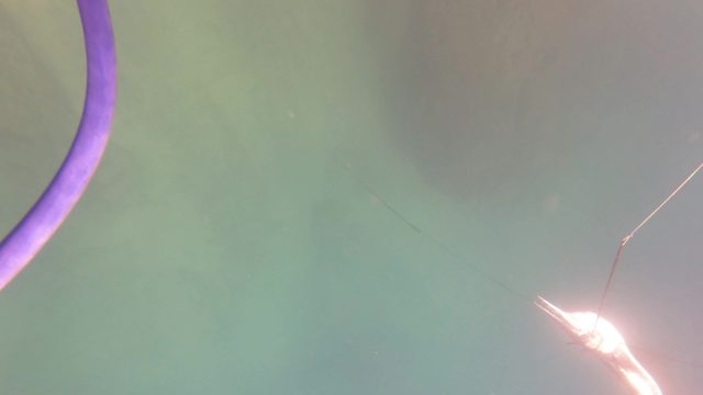 SAN JOSE DEL CABO BCS MEXICO-2023: Greenish Pool Water with Floating Toy From Above