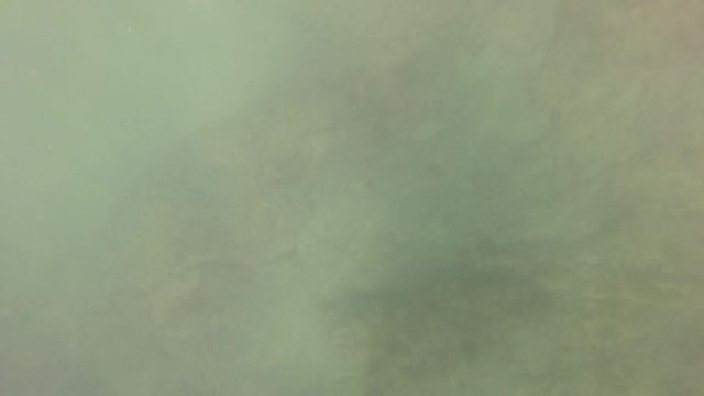SAN JOSE DEL CABO BCS MEXICO-2023: Underwater Rocky Seabed with Water Movement
