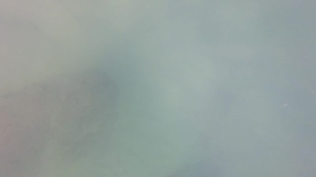 SAN JOSE DEL CABO BCS MEXICO-2023: Underwater Rock Formation in Hazy Green Water