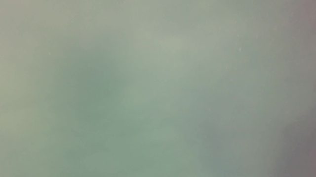 SAN JOSE DEL CABO BCS MEXICO-2023: Hazy Motion in Muted Green Medium