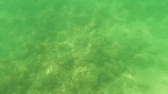 SAN JOSE DEL CABO BCS MEXICO-2023: Hand Touching Underwater Seabed and Surface