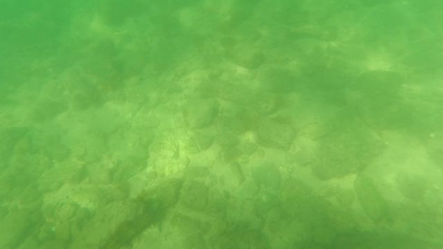 SAN JOSE DEL CABO BCS MEXICO-2023: Underwater Riverbed with Clear Green Water and Rocks