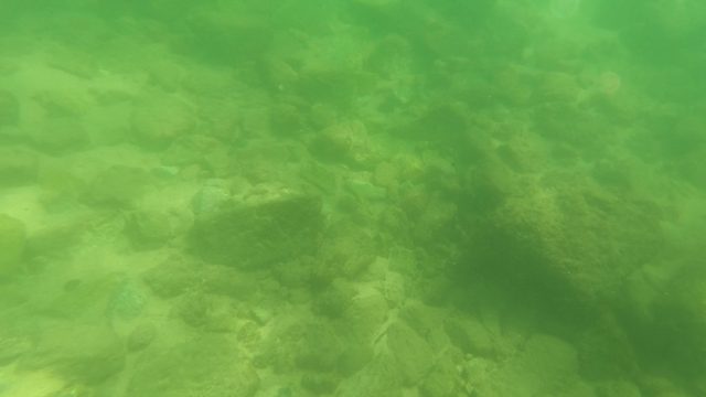SAN JOSE DEL CABO BCS MEXICO-2023: Underwater Riverbed with Swimming Fish and Diver's Foot