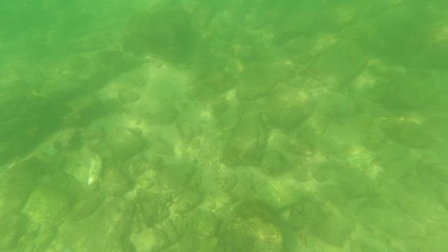 SAN JOSE DEL CABO BCS MEXICO-2023: Underwater Riverbed with Clear Water and Small Fish