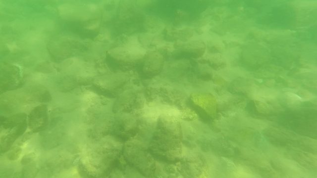 SAN JOSE DEL CABO BCS MEXICO-2023: Underwater View of Rocky Stream Bed