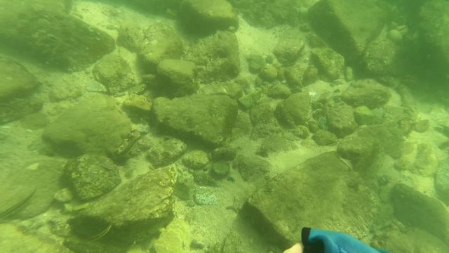 SAN JOSE DEL CABO BCS MEXICO-2023: Two People Swimming Underwater with Flippers