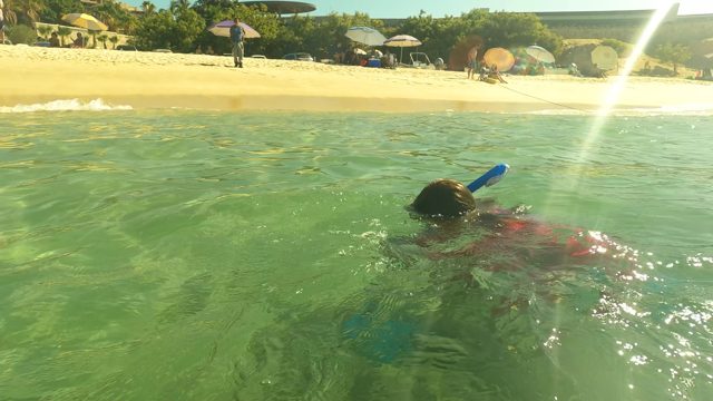 SAN JOSE DEL CABO BCS MEXICO-2023: Child Snorkeling in Shallow Ocean Water Near Sandy Beach