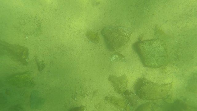 SAN JOSE DEL CABO BCS MEXICO-2023: Underwater Seabed with Rocks and Swimmer's Fin Movement