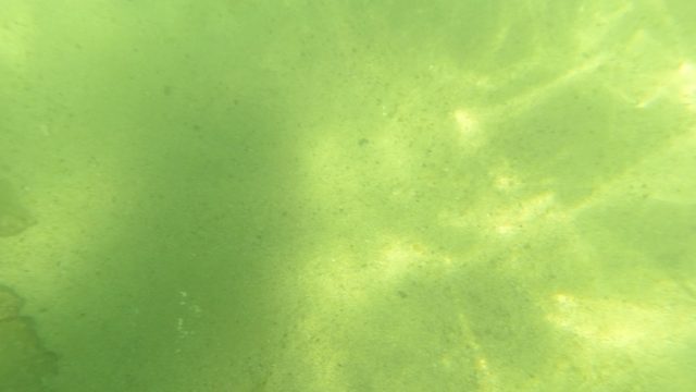 SAN JOSE DEL CABO BCS MEXICO-2023: Underwater View of Swimmer Gliding Over Sandy Seabed