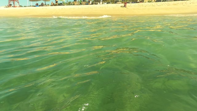SAN JOSE DEL CABO BCS MEXICO-2023: Swimmer's Underwater Movement in Shallow Ocean Water