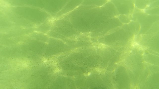 SAN JOSE DEL CABO BCS MEXICO-2023: Underwater View Transitioning to Sandy Beach