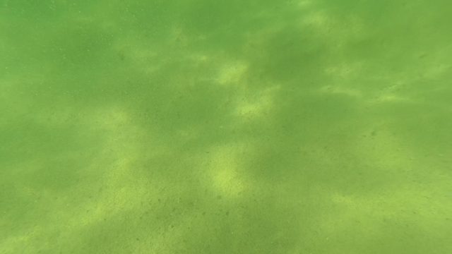 SAN JOSE DEL CABO BCS MEXICO-2023: Shifting Light on Sandy Ocean Floor