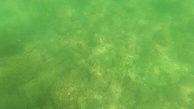 SAN JOSE DEL CABO BCS MEXICO-2023: Underwater View of Rocky Stream Bed with Gentle Current
