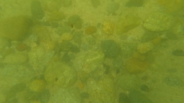SAN JOSE DEL CABO BCS MEXICO-2023: Underwater View of Riverbed with Smooth Stones