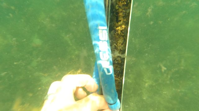 SAN JOSE DEL CABO BCS MEXICO-2023: Underwater Spearfishing with a Handheld Speargun