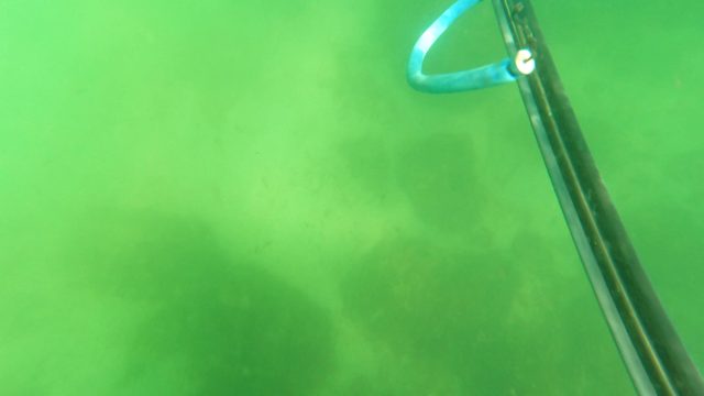 SAN JOSE DEL CABO BCS MEXICO-2023: Underwater Movement of a Blue Hose and Pole