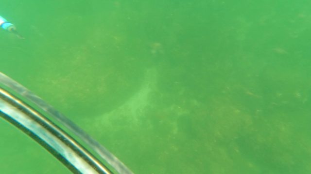 SAN JOSE DEL CABO BCS MEXICO-2023: Underwater Seabed with Small Fish and Boat Structure