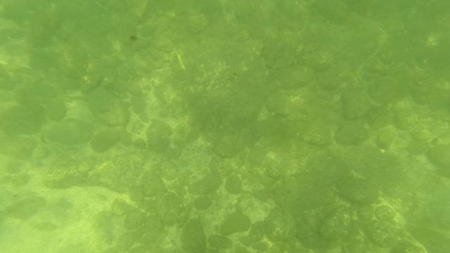 SAN JOSE DEL CABO BCS MEXICO-2023: Underwater View of Rocky Seabed and Diving Gear