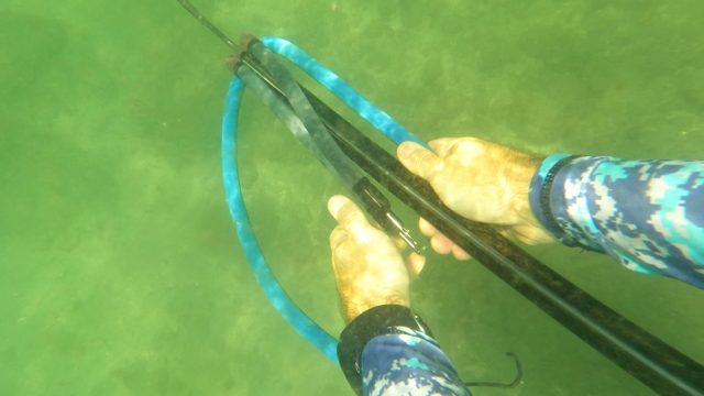 SAN JOSE DEL CABO BCS MEXICO-2023: Diver Adjusting Speargun Underwater